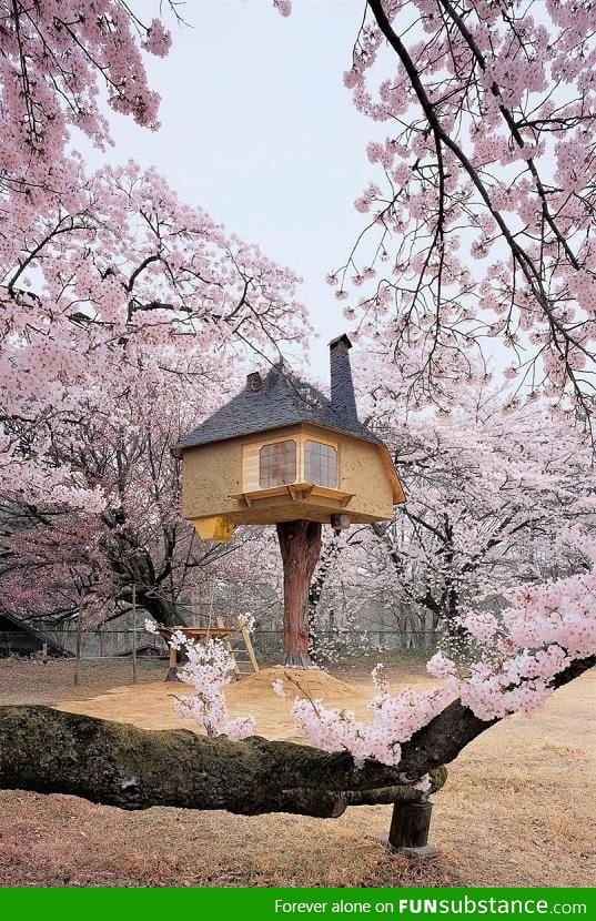 Awesome treehouse