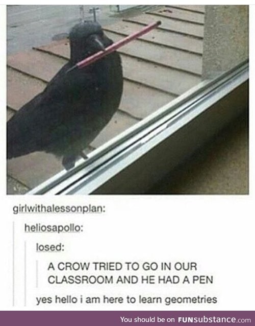 Crow