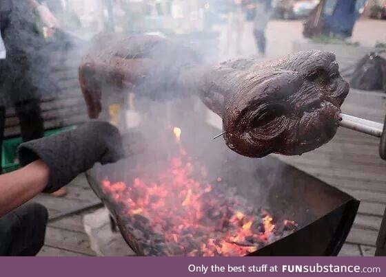 Looks like ET never made it home