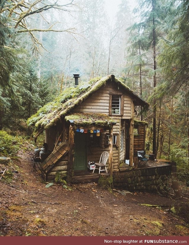 Cozy little cabin in Washington