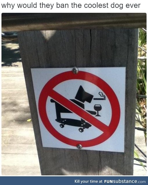 Why would they ban the coolest dog ever?