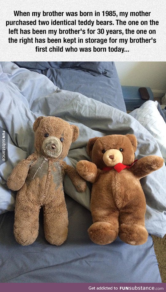 Two teddy bears, many years later