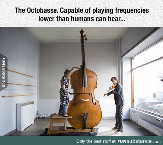 One big instrument