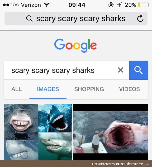 Fiancé borrowed phone. Looked at safari and found this gem