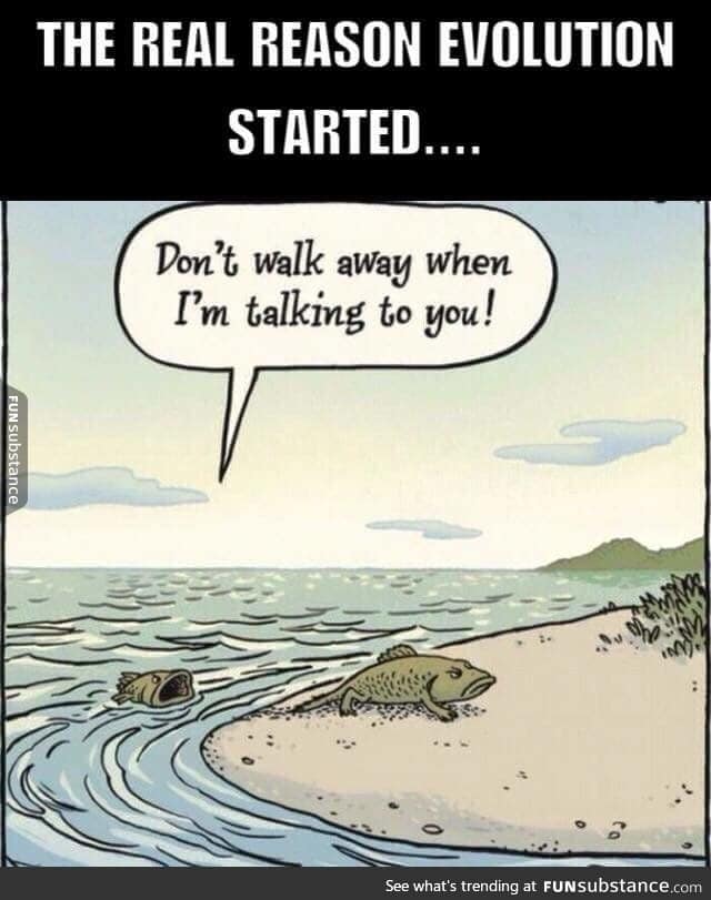 This is how evolution started