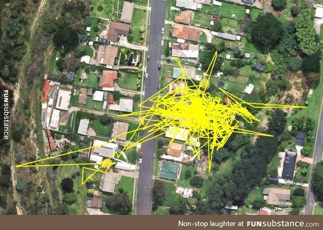 A cat's movements for one day recorded via GPS