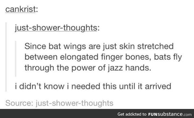 one more reason bats are awesome