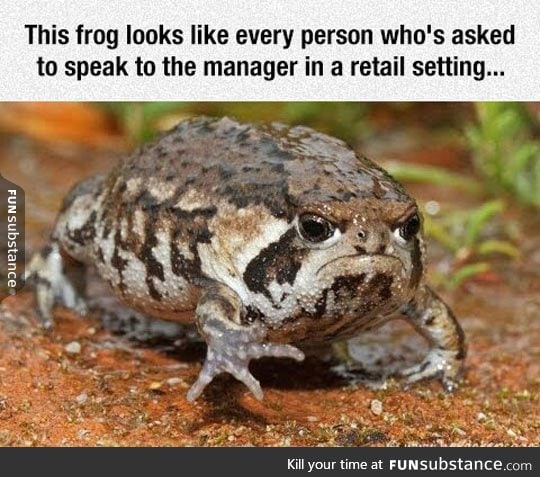 Grumpy frog