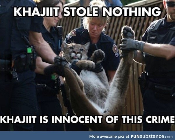 Poor khajiit