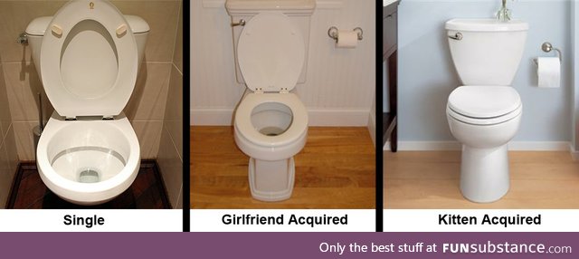 Toilet through the years