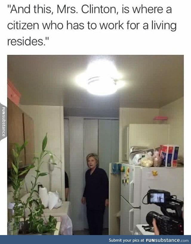 A domesticated Hillary returns to the wild