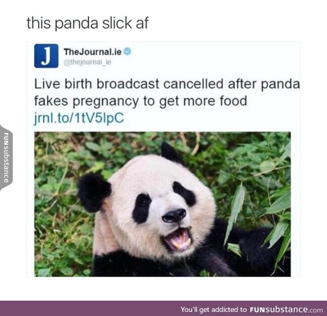 Smart panda