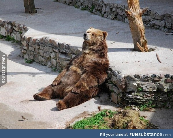 Yeah, am bear. But some days, why am bear? Is there more than bear?