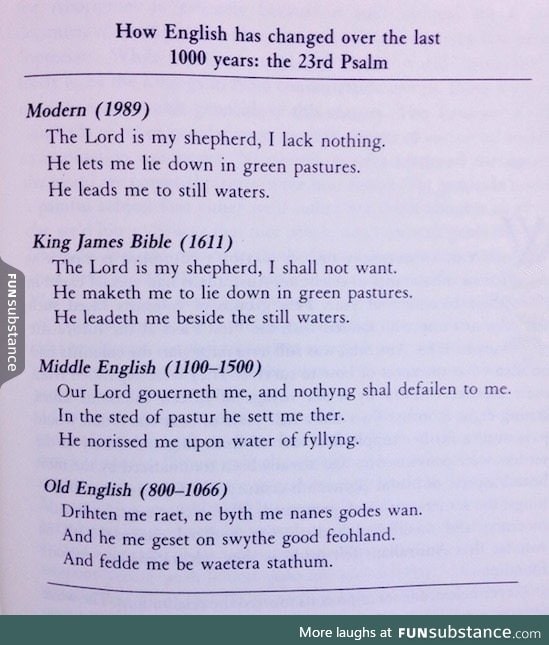 The evolution of English over the past 1000 years