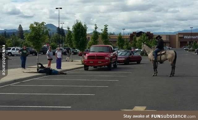 So, this dude on a horse just lassoed a bike thief in Oregon