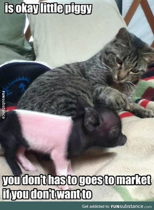 Don't Worry Piggy