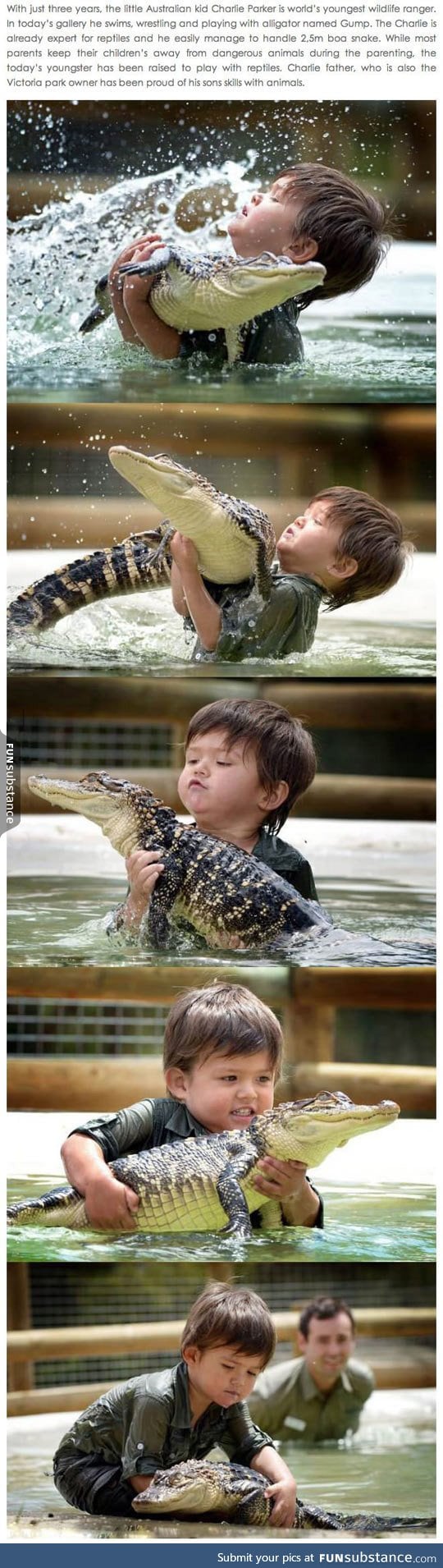 The new steve irwin