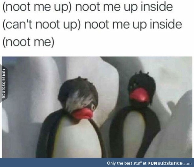 NOOT