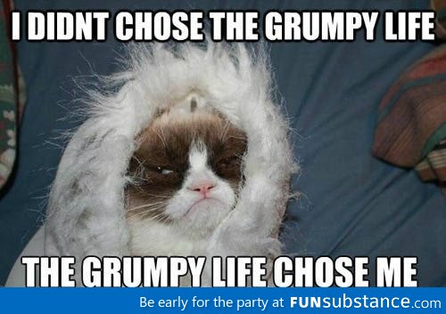 The Grumpy Life