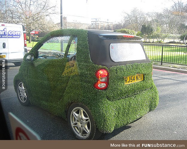 I've heard of green cars, but this is a little much