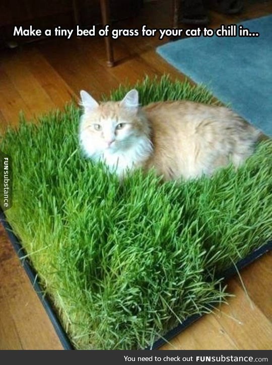 Bed of grass