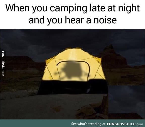 When you camping late night and hear a noise