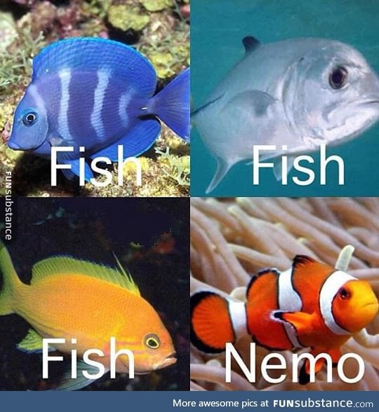 Whenever I try to name fish breeds