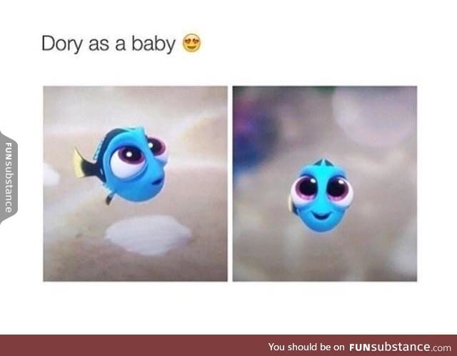 Baby Dory