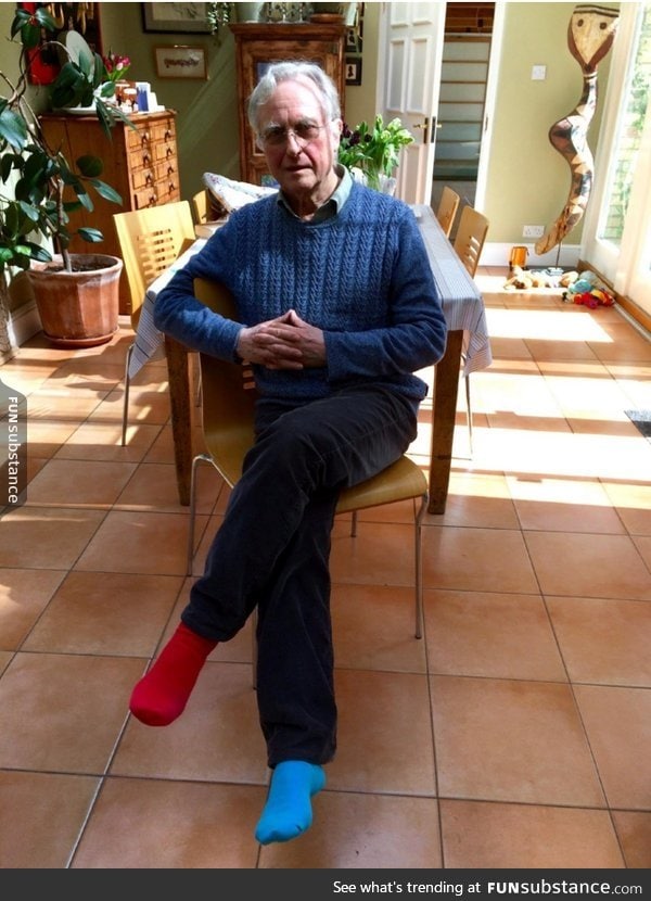 Richard Dawkins - fighting the tyranny of the matching socks one day at a time