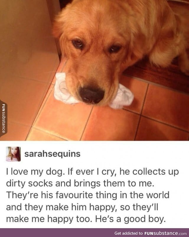 We don't deserve dogs