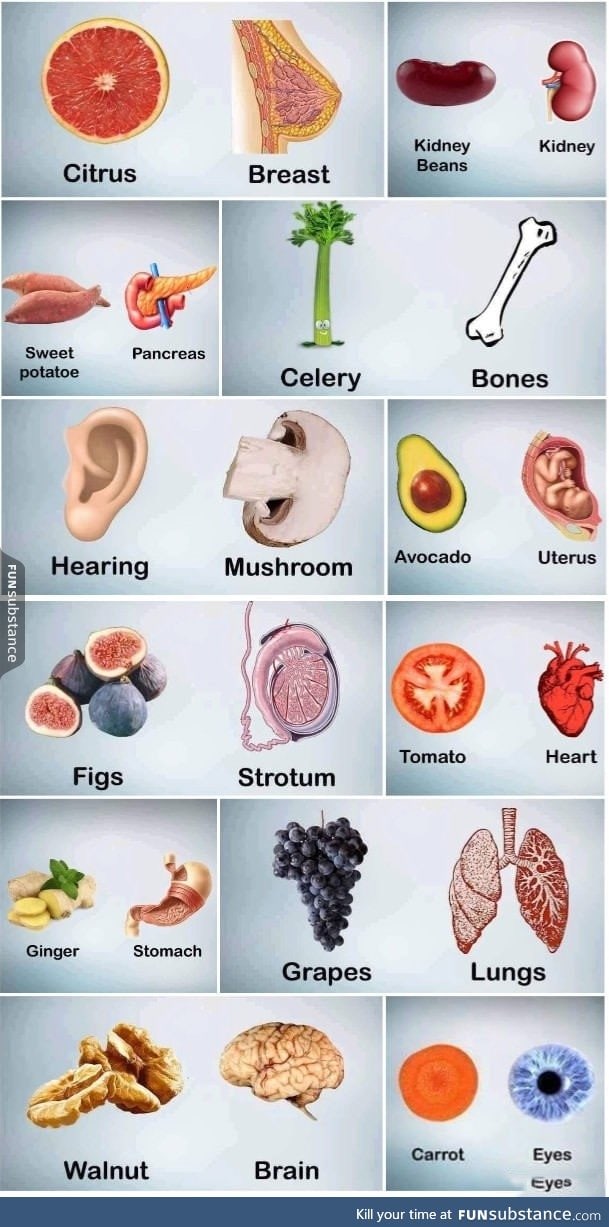 The shape which resembles the organ is beneficial for that organ