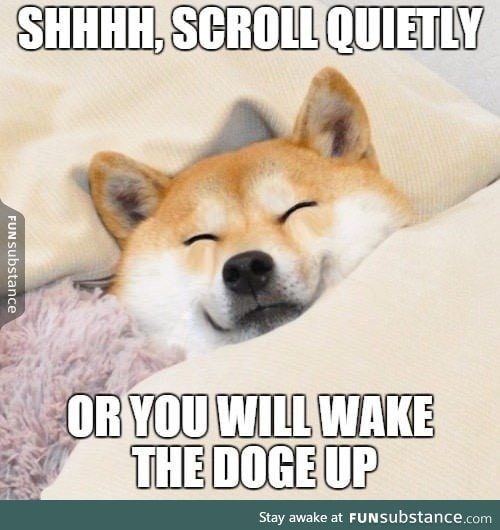 Much sleepy, such comfy