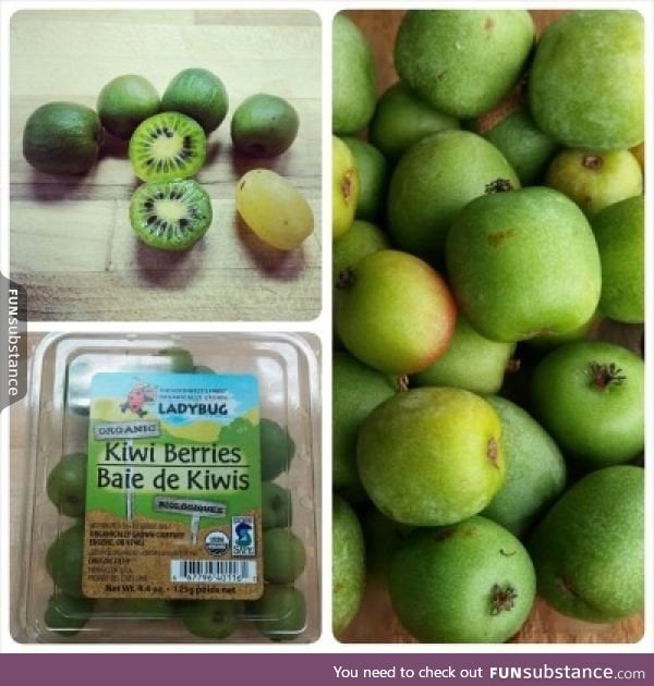 Kiwi berries