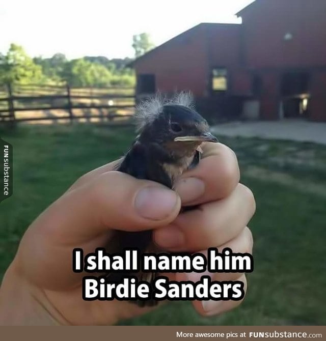 Birdie Sanders