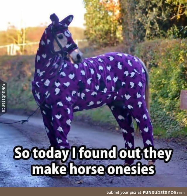 Well, it could have been a pony onesie