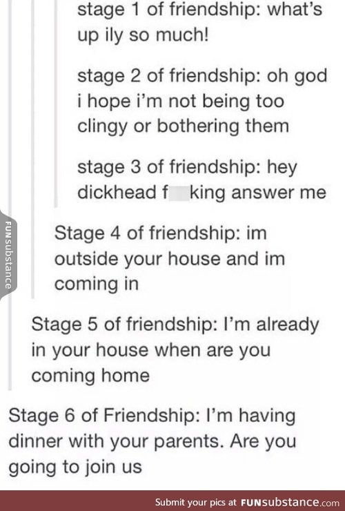 Stages of friendship