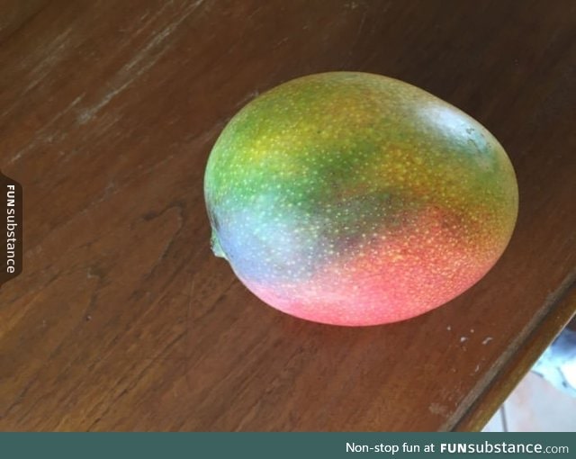 Multi colored mango