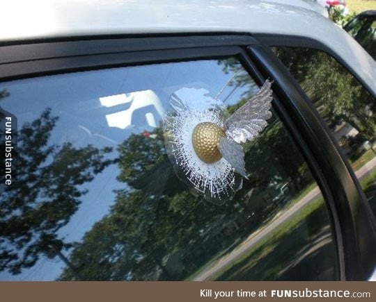 My Car Needs This