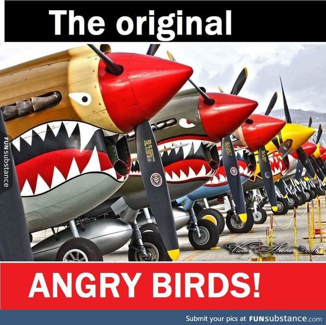 Angry war birds