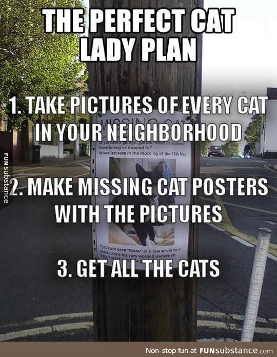 Perfect cat lady plan