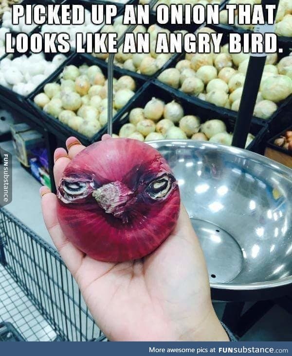 This onion looks like an angry bird