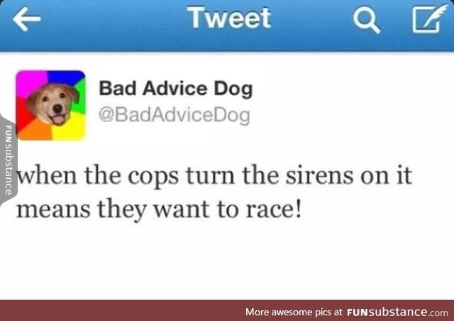 Bad Advice Dog back at it again