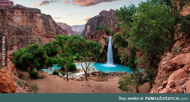 An oasis in Arizona