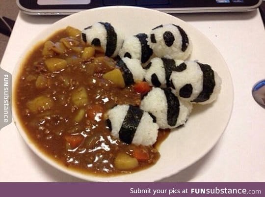 Delicious panda curry bum-rush