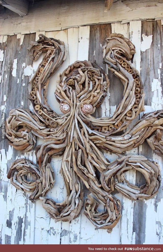 Driftwood octopus