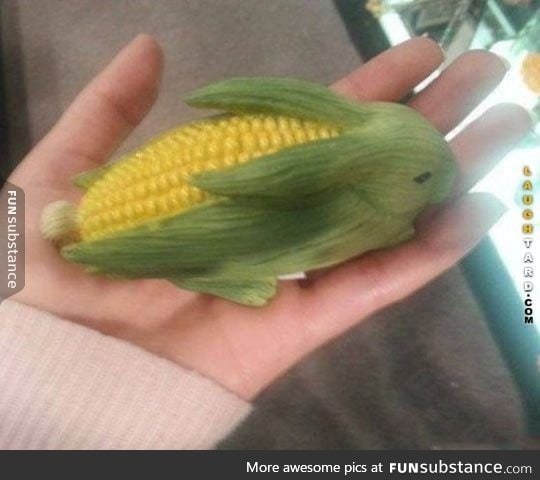 Corn Rabbit