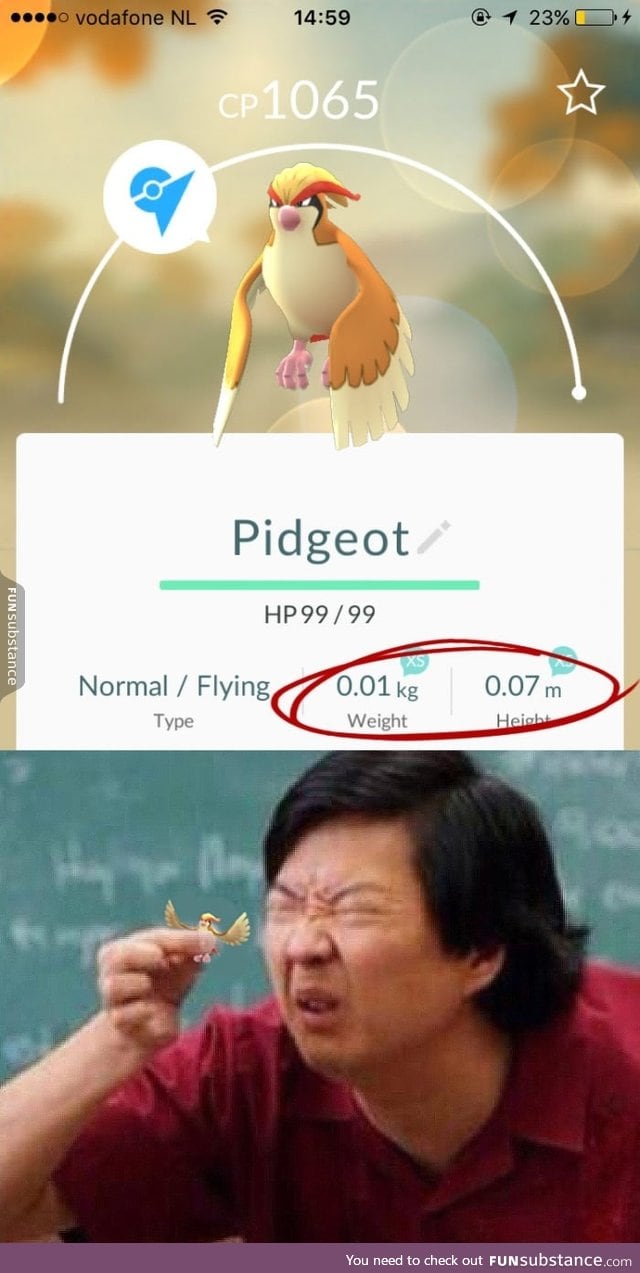 Pokemon Go, seriously?!