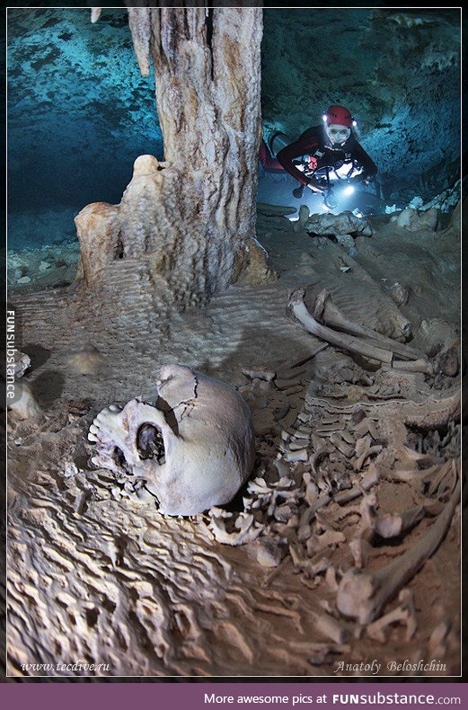 Imagine seeing this while you are scuba diving in a sea cave