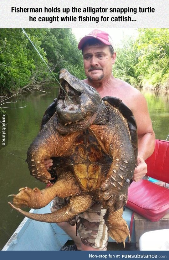 Real life bowser