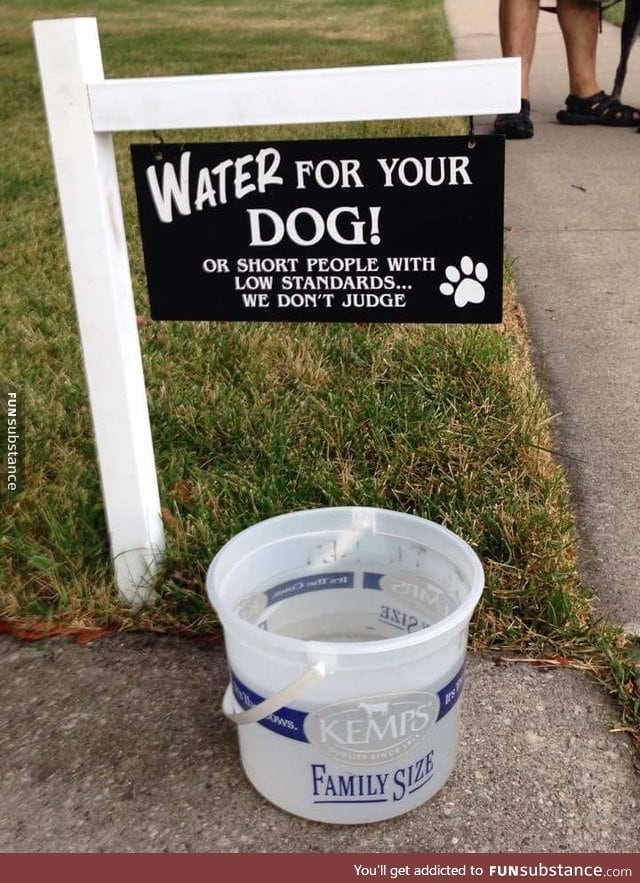 Water for your dog